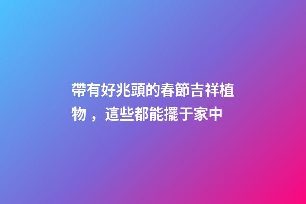 帶有好兆頭的春節吉祥植物，這些都能擺于家中